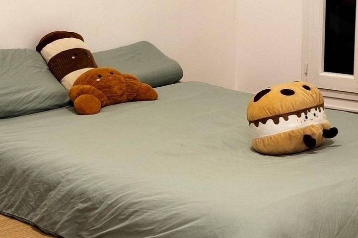 Gîte pour 2 personnes, animaux acceptés à Noisy-le-Sec - 3