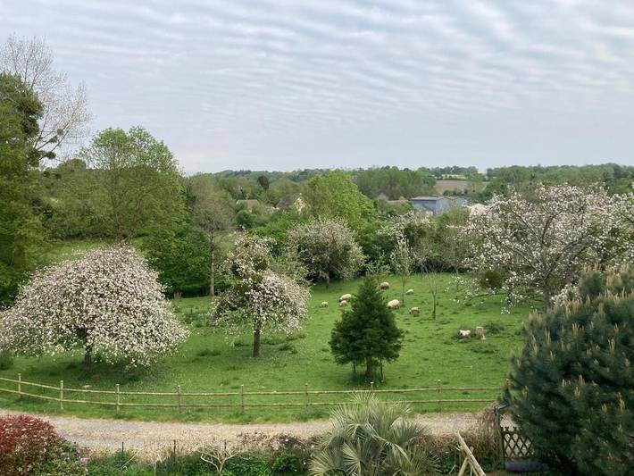 Gîte pour 3 personnes, avec jardin et vue à Hudimesnil - 2