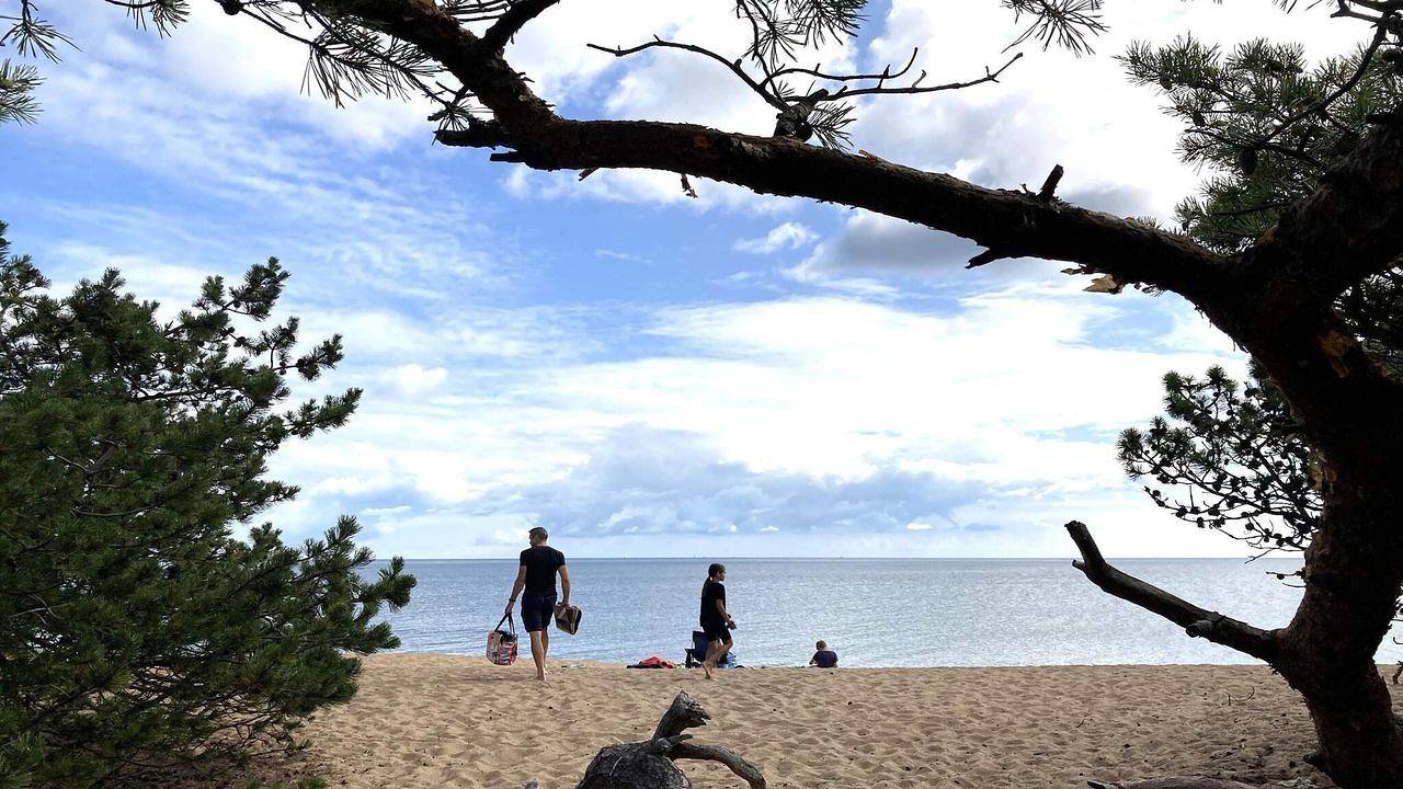 Ferienhaus für 6 Personen (100 m²) in Borrby in Borrby, Österlen