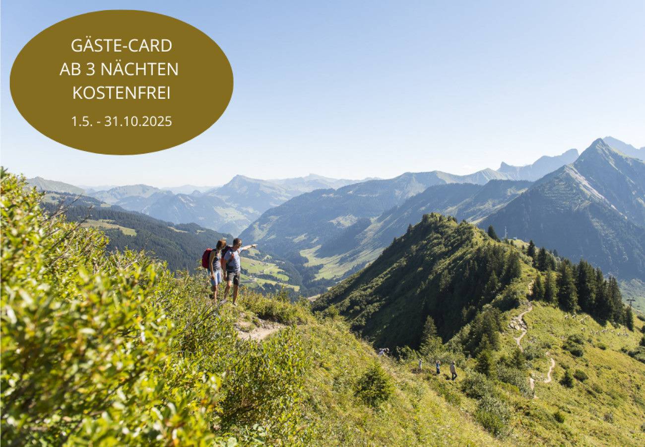 Ganze Wohnung, Hölderle Damüls - Bergblick #08 in Damüls, Bregenzerwald