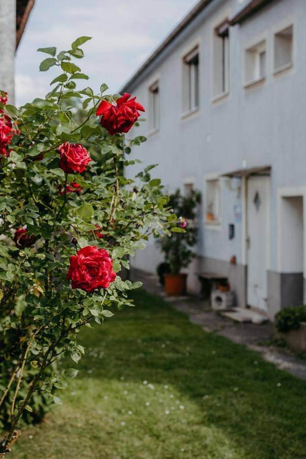 Ferienwohnung für 5 Personen, mit Ausblick und Pool sowie Garten