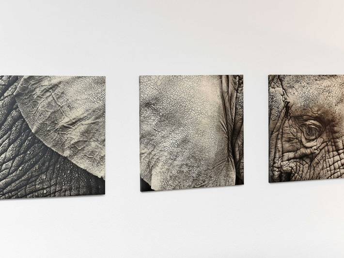 Ferienwohnung für 4 Personen, mit Terrasse in Bensersiel - 4