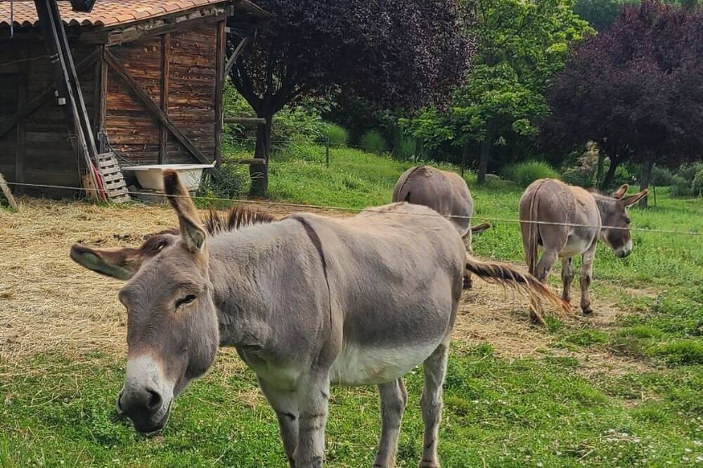 Roulotte et Spa en Pleine Nature Calme et Sérénité Pour un Séjour Ressourçant in Forcalquier, Parc naturel régional du Luberon