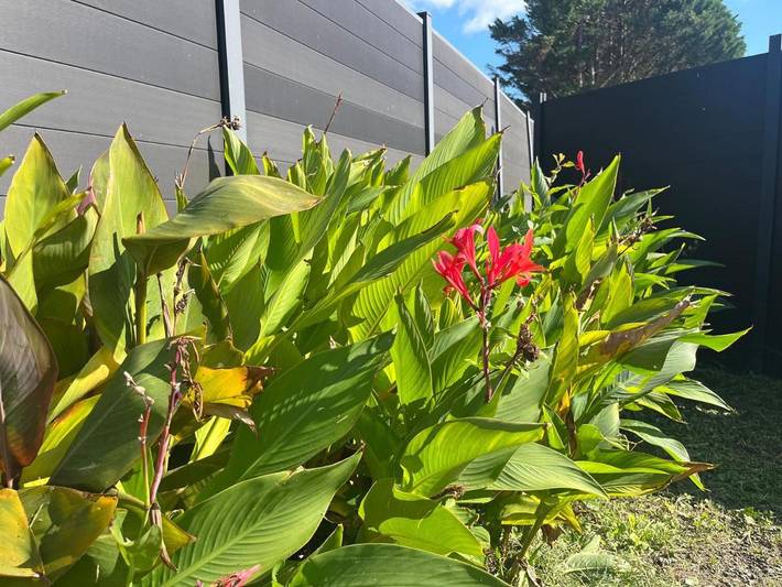 Gîte pour 2 personnes à Boisredon - 2