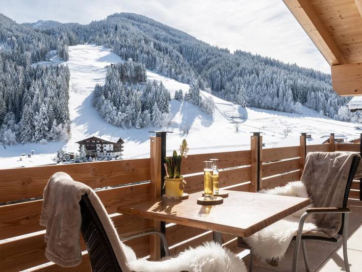 Ferienhaus für 19 Personen, mit Terrasse, mit Haustier in Wildschönau - 3