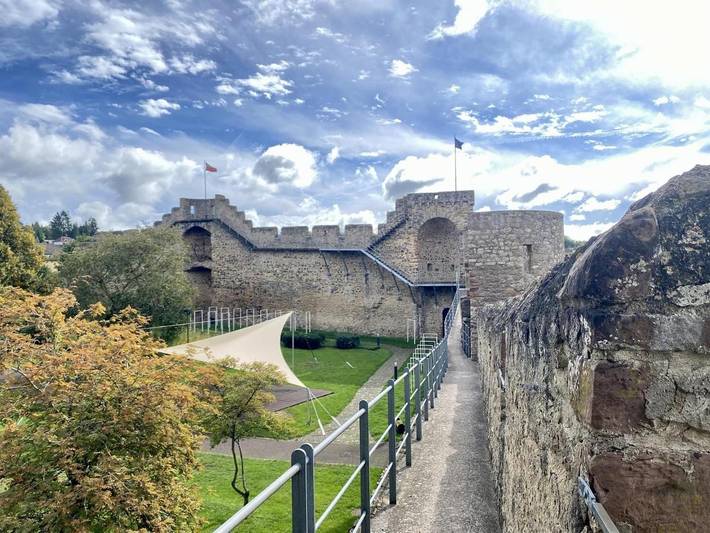 Ferienwohnung für 4 Personen, mit Ausblick und Garten, mit Haustier in Hillesheim - 2