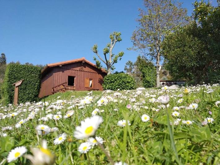 Casa rural para 4 personas, con Terraza y Jardín además de Sauna y Vistas en Cee