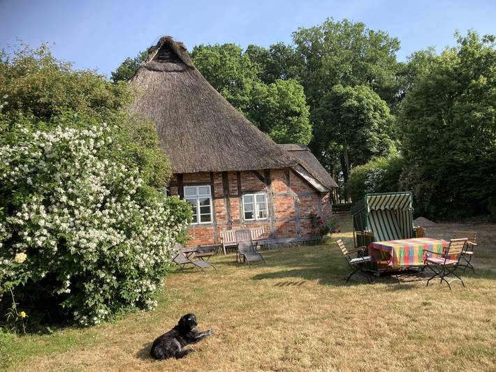 Ferienhaus für 6 Personen, mit Terrasse und Garten in der Lüneburger Heide