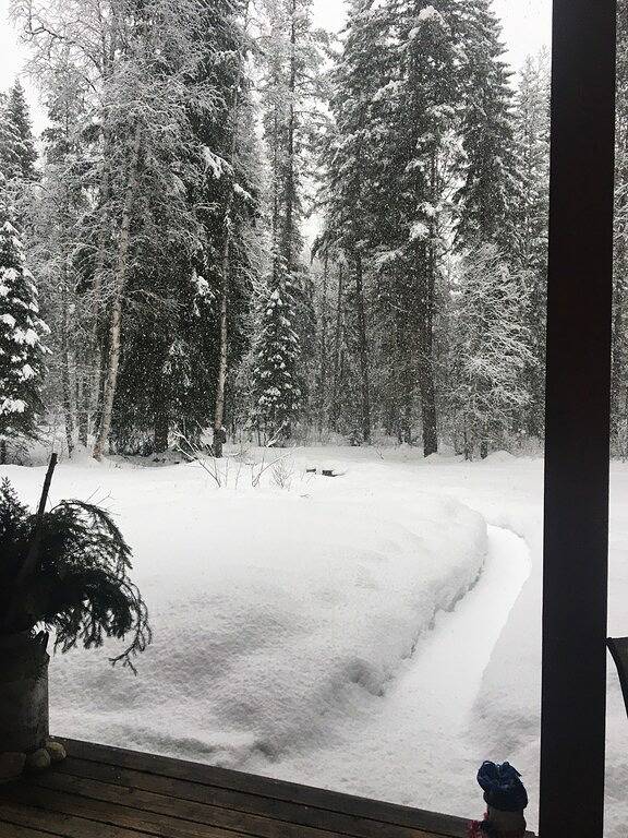 Stunning Mountain Retreat in Golden Bc in Kicking Horse