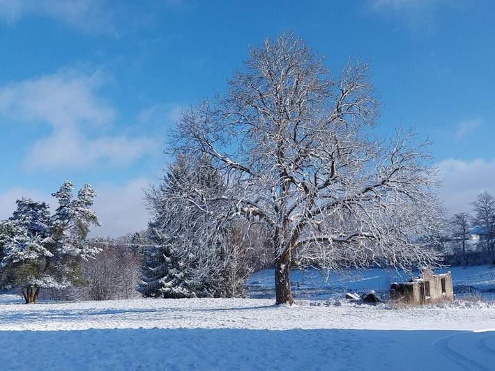 Location de vacances pour 10 personnes, avec jardin et vue sur le lac à Hadol - 2
