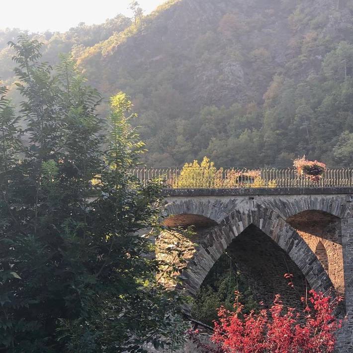 Location de vacances pour 2 personnes, avec Terrasse et Jardin à Vabre