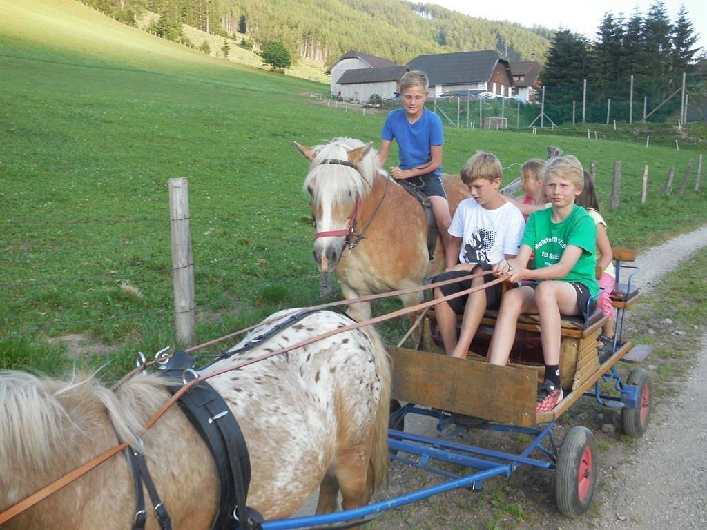 Ganze Ferienwohnung, Pertl - Hansalagut in Mauterndorf, Lungau