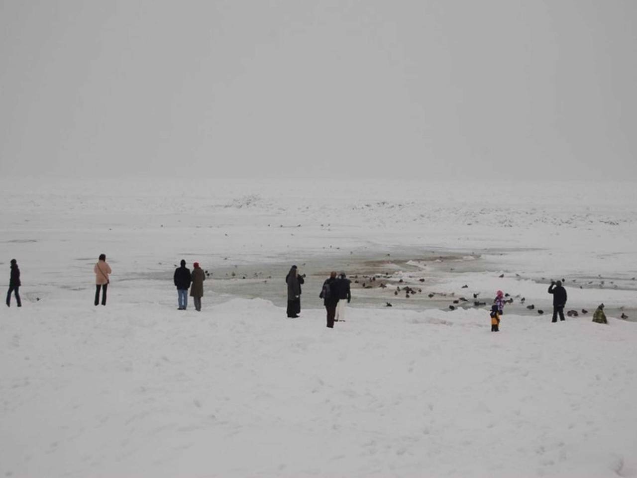 Ganze Ferienwohnung, ! Neu ! Ferienhaus Binz - Ferienwohnung 3 in Binz, Rügen