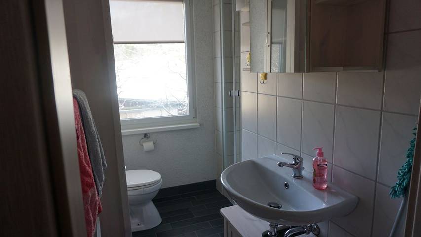 Ferienhaus für 3 Personen, mit Terrasse im Ruppiner Land - 4