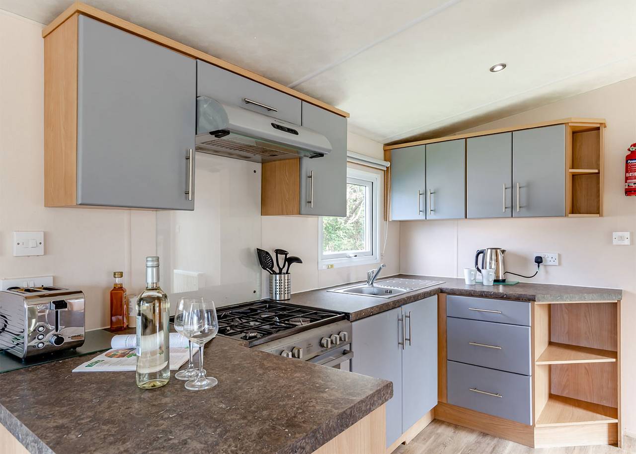 Silver Caravan. With ensuite and decking. in Cornwall