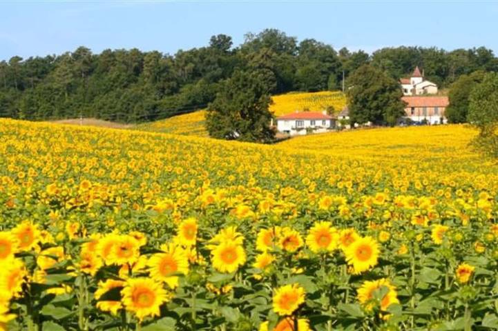 Maison de vacances pour 16 personnes, avec jardin
