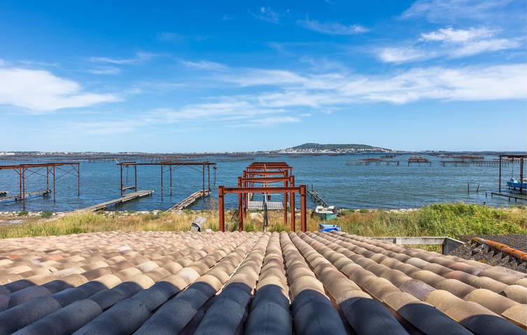 Appartement de charme près de la Plage du Thalassa in Loupian, Côte méditerranéenne (France)