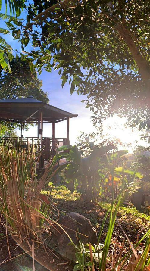 Gîte pour 3 personnes, avec terrasse ainsi que jardin et vue à Les Trois-Bassins - 4