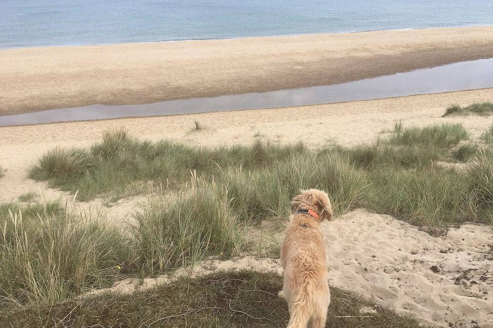 Dog friendly cottage moments from beautiful Winterton beach in Great Yarmouth, The Broads