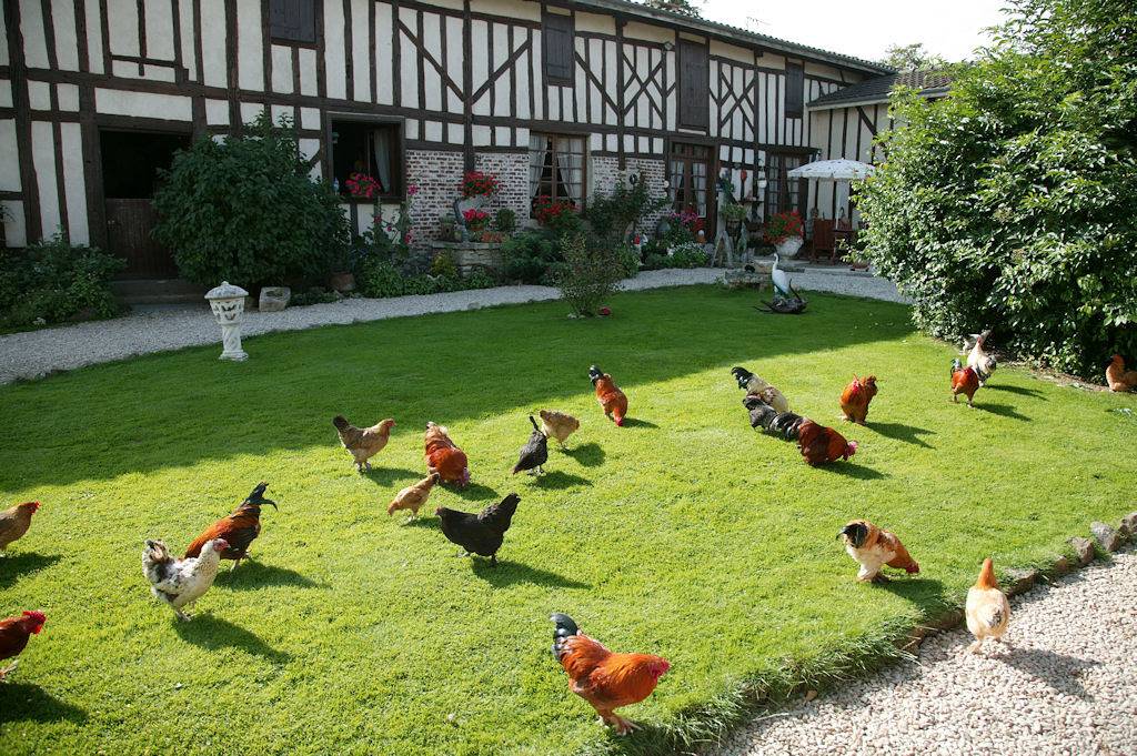 La Ferme Sympa - Chambre à four in Droyes, Haute-Marne