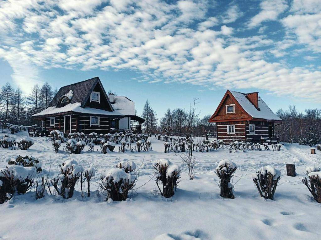 Domki Osada Werdołyna in Karpaty (Polska)