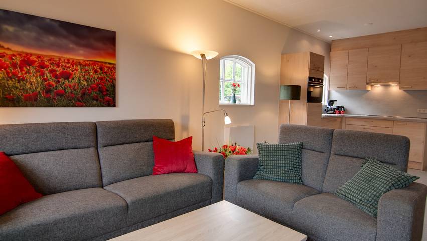 Ferienhaus für 4 Personen, mit Terrasse und Garten in Losser - 3