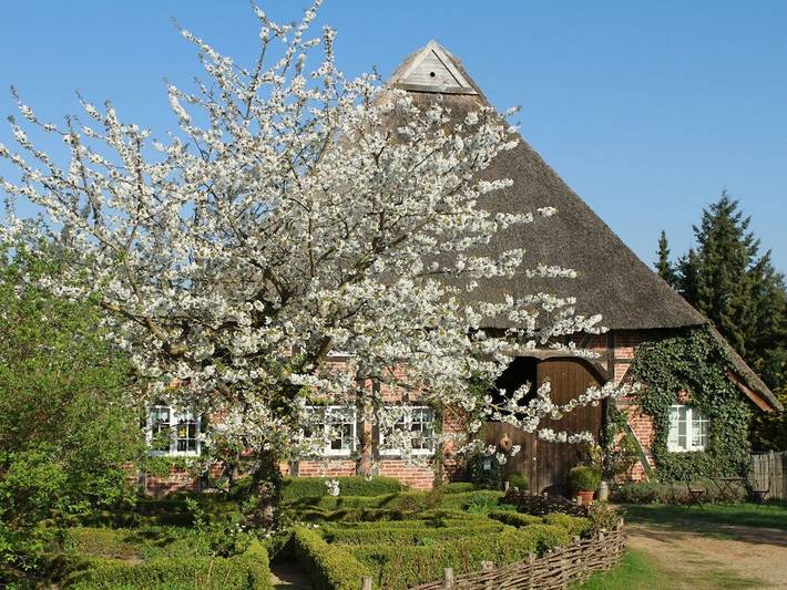 Ferienhaus für 2 Personen, mit Terrasse in Naturpark Lauenburgische Seen - 2