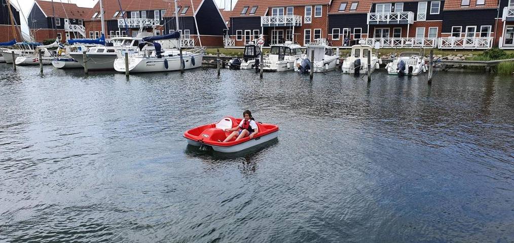 Location de vacances pour 2 personnes, avec terrasse ainsi que vue et sauna, animaux acceptés dans Borre - 2