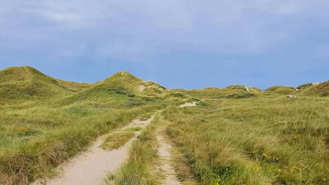Ferienhaus für 5 Personen (60 m²) in Vedersø Klit in Tim, Ulfborg