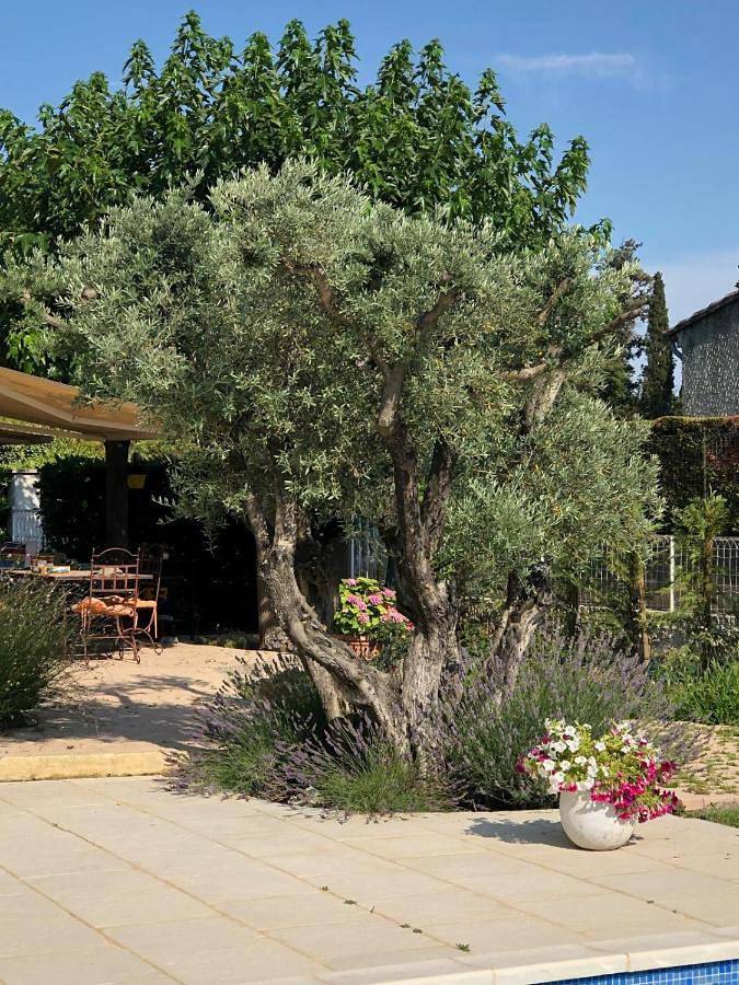 Chambre d’hôte pour 4 personnes, avec jardin ainsi que piscine et vue