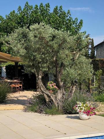 Chambre d’hôte pour 4 personnes, avec piscine ainsi que jardin et vue à Monteux