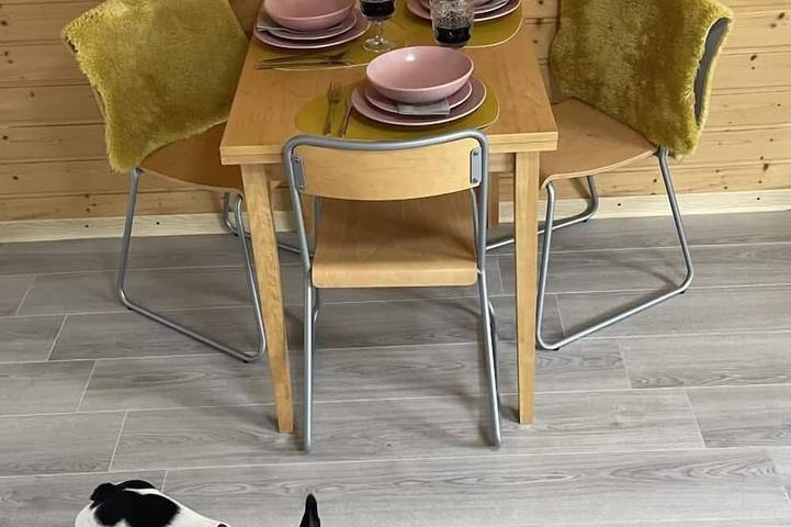 Ferienwohnung für 3 Personen, mit Haustier - 1
