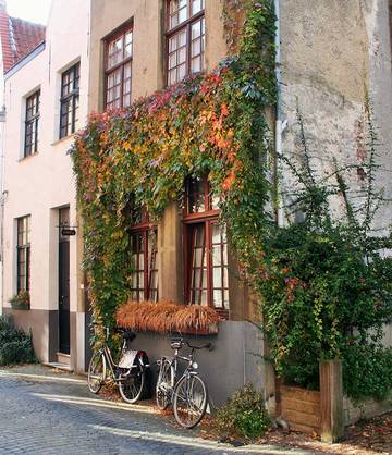 Gîte pour 2 personnes à Bruges