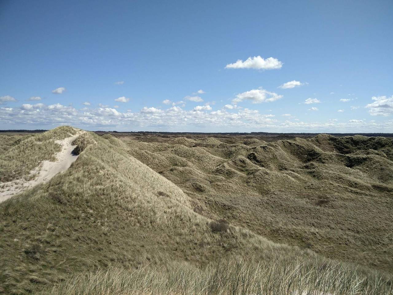 6 Personen Ferienhaus in Pandrup-By Traum in Blokhus, Jammerbugt