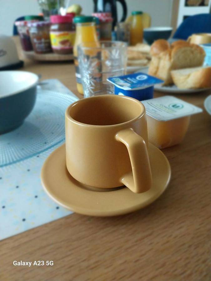 Double Room with Garden View in Angers, Région d'Angers
