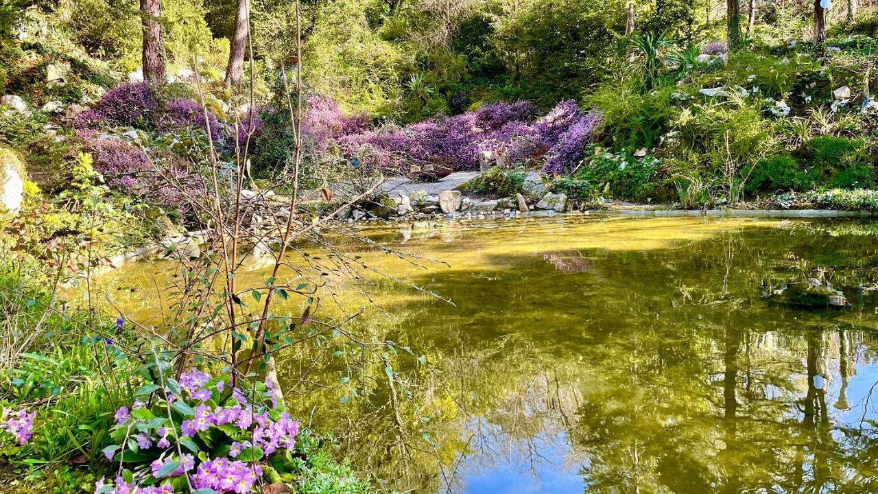 L'Autre Paradis-Piscines naturelles-Plages-Jardin enchanté-Sauna in Poligny (Seine-et-Marne), Seine-et-Marne