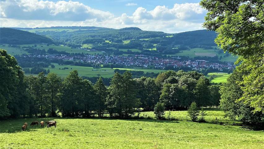 Ferienwohnung für 4 Personen, mit Terrasse an der Rhön - 2