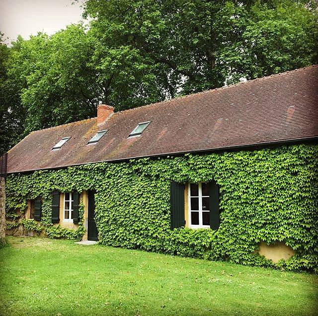 Gîte pour 4 personnes, avec jardin, animaux acceptés à Poisson (homonymie)