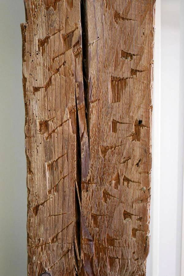 Maison d’hôte pour 2 personnes, avec balcon et vue à Burgos - 2