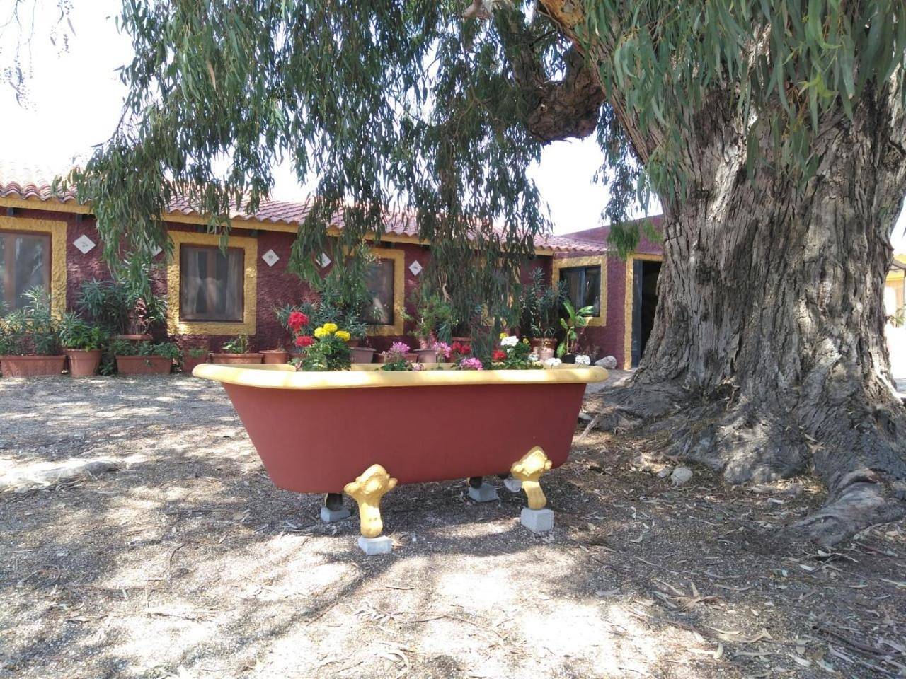 Casa del Procurador in Villena, Alicante l'intérieur des terres