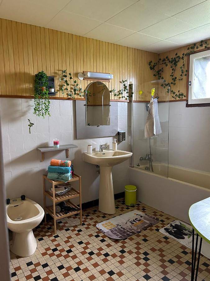 Location de vacances pour 8 personnes, avec jacuzzi ainsi que jardin et piscine, animaux acceptés à Pipriac - 4