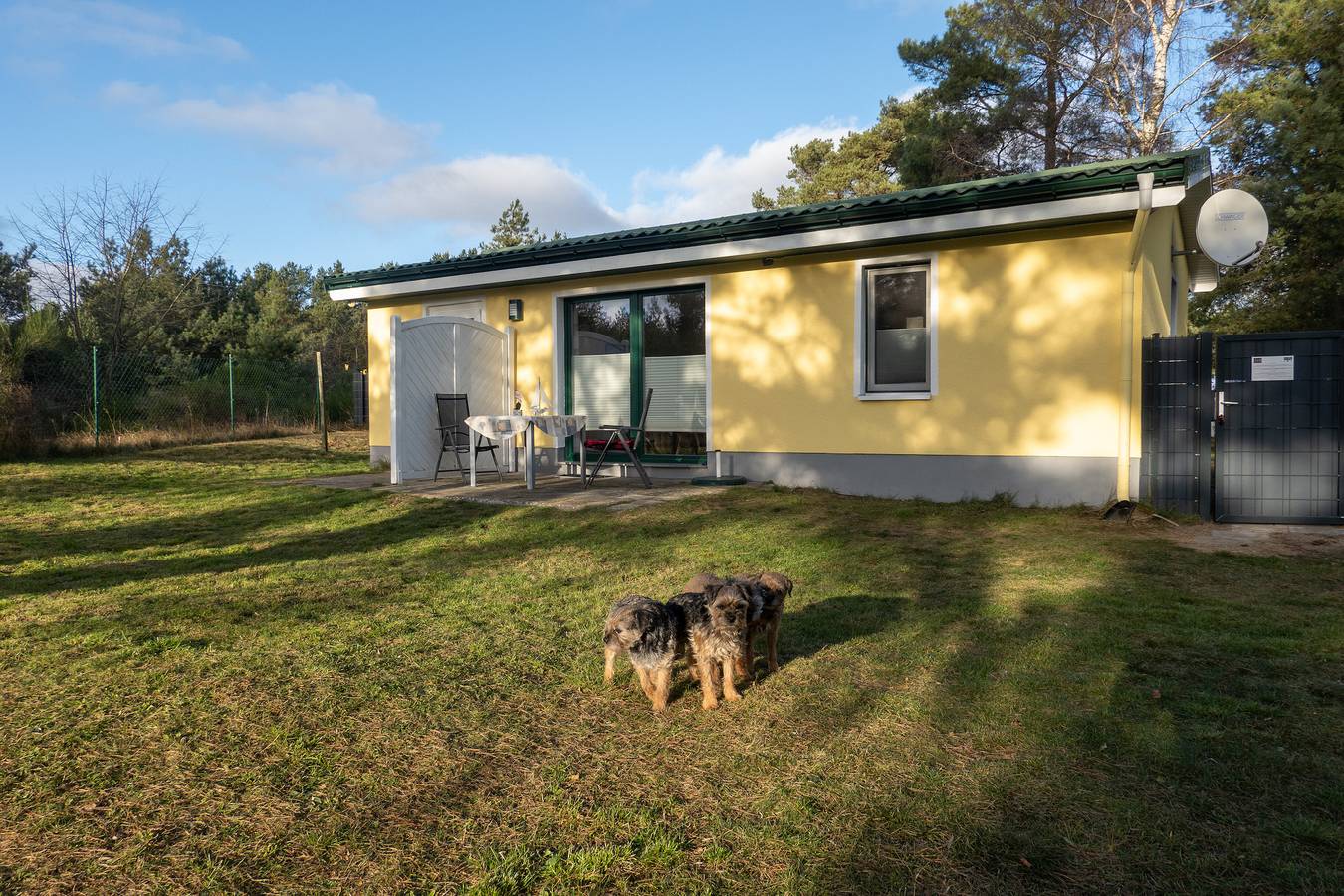 Hundeparadies "Bodden Paradise Cottage" in Pruchten, Vorpommern-Rügen