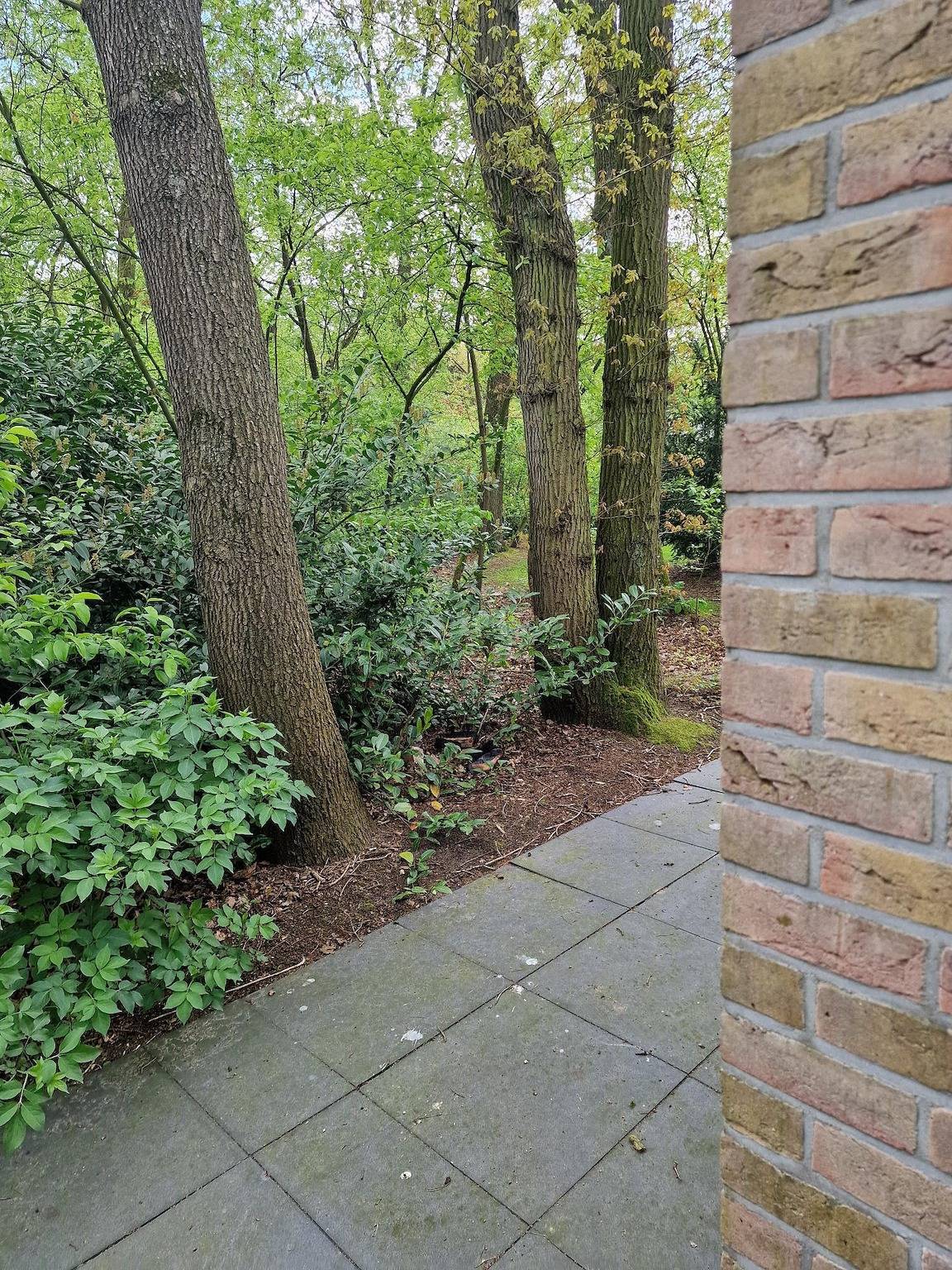 Bungalowpark Hoge Hexel — Meerkoet 8-persoons in Twente