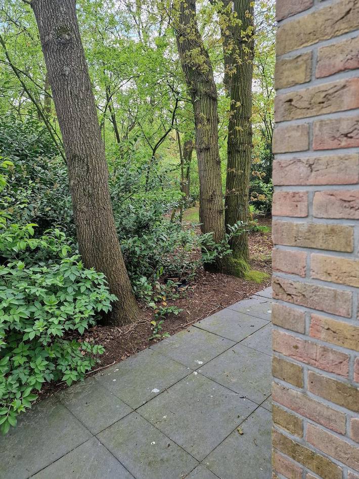 Ferienhaus für 8 Personen, mit Garten in Hoge Hexel - 3