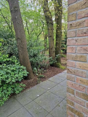 Ferienpark für 8 Personen in Overijssel, Bild 2