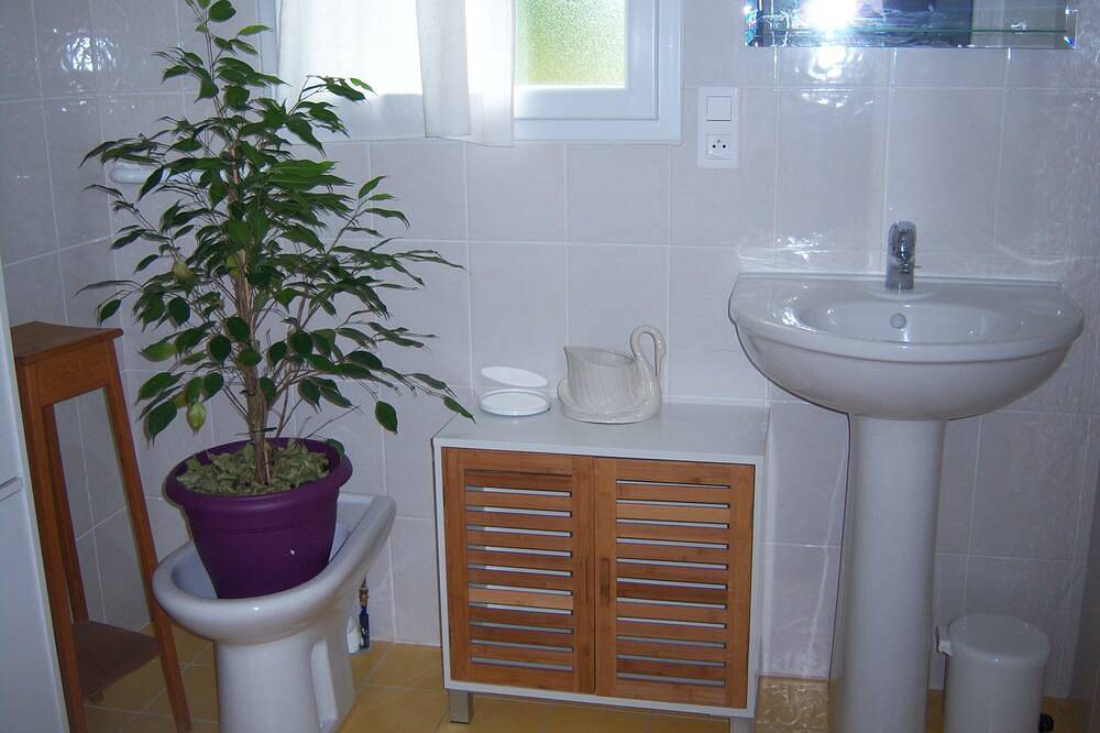 Entire apartment, Apartment in the extension of the guest house in the countryside near Bergerac in Bergerac, Périgord Pourpre