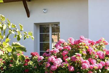 Gîte pour 12 personnes, avec terrasse et jardin à Verton