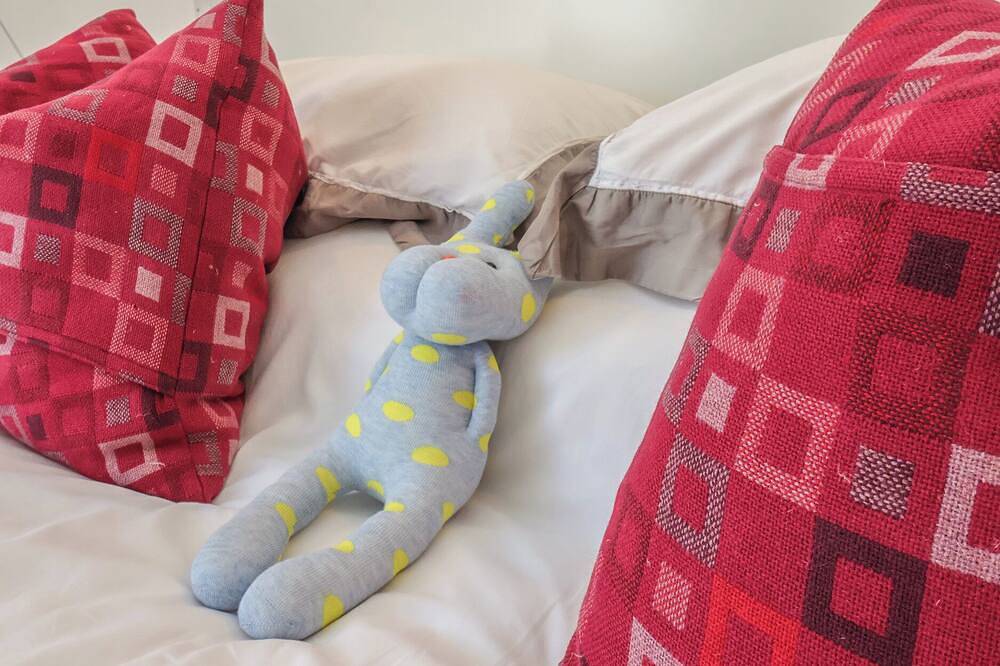 Nancy’S Blushes, pet friendly in Saltburn-By-The-Sea in Saltburn by the Sea, Redcar and Cleveland