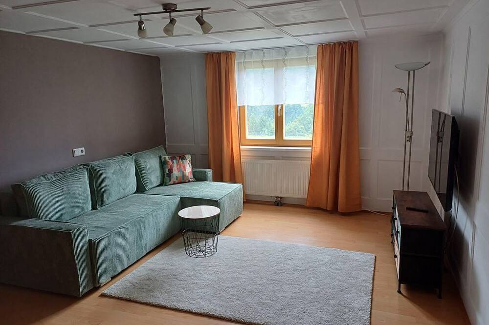 Ganze Wohnung, Ferienwohnung Löwenblick - Appartement/Fewo, Dusche, Wc, 1 Schlafraum in Thüringerberg, Bezirk Bludenz