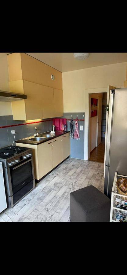 Gîte pour 4 personnes, avec Balcon ainsi que Terrasse et Vue à Genève - 4